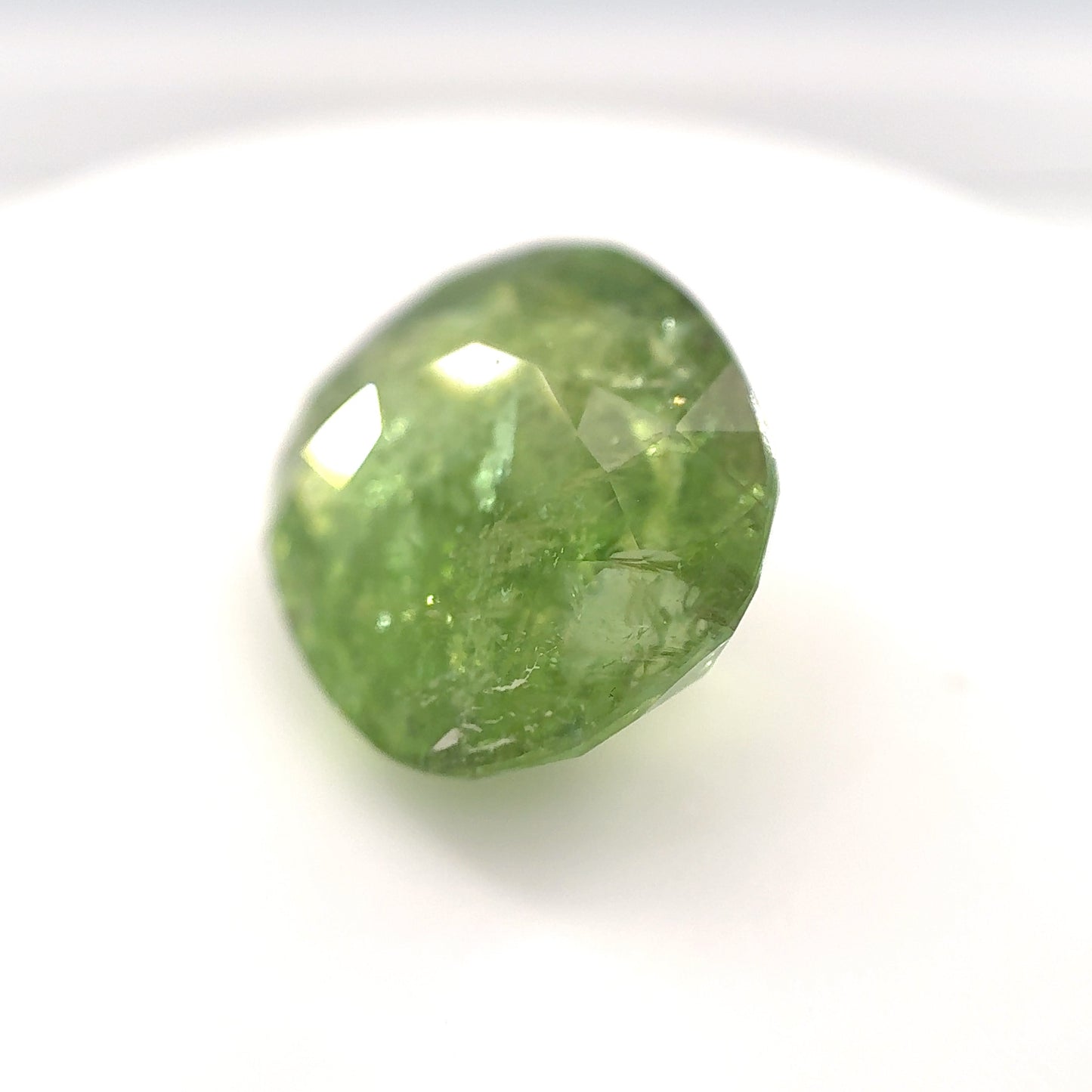 4019-TMPA-290 | 9.15ct Paraiba Tourm | 12.5x13.8mm