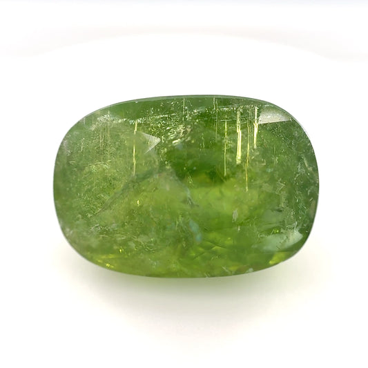 Earth Grown 13.6ct Green Paraiba Tourmaline – Loose Gemstone Oval Cut 11.75x16.9mm